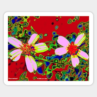 Fleurs Matisses Sticker